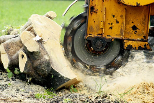 An image of Stump Grinding in Los Alamitos CA