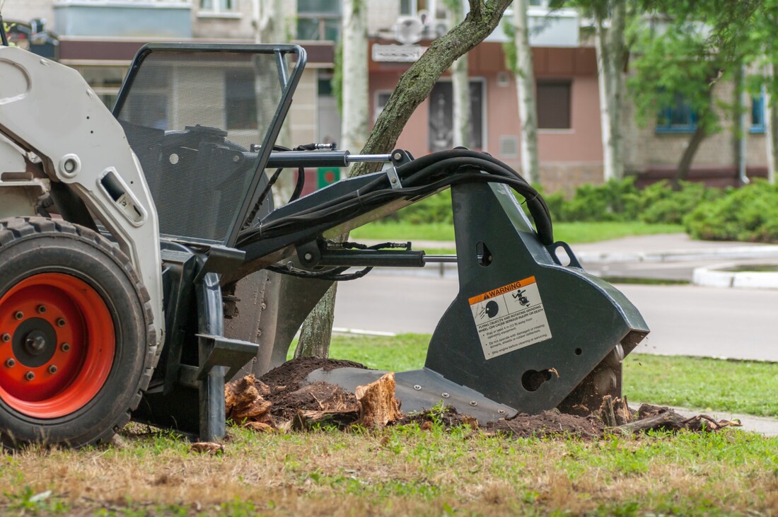 An image of Stump Grinding in Los Alamitos CA